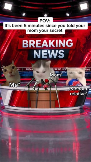POV: Five minutes after you tell your mom your secret #catmemes #catshorts #funny #relatable #memes