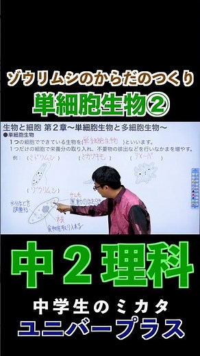 単細胞生物②ゾウリムシのからだのつくり#単細胞生物 #水中の小さな生物 #ゾウリムシ #中２理科 #定期テスト対策 |#中学理科 #動物 #細胞