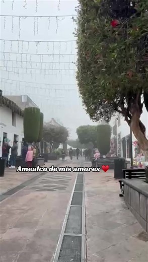 hazme algo de mis amores♥️ #viral #viralvideo #fyp #fypシ #parati | mis amore