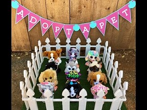 Adopt A Pet (Beanie Boo Cats & Dogs) Birthday Party