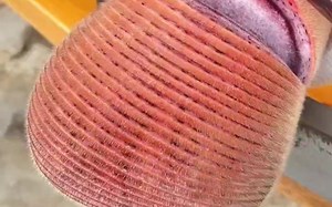 新鲜梅花鹿鹿茸