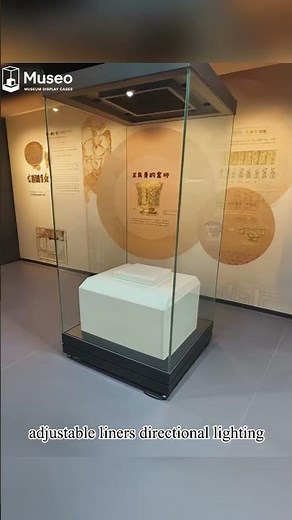 🏛️ Elevate Your Museum’s Exhibition with Fully Customizable Display Cabinets! #museumdesign