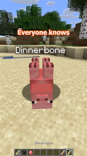 What Do Every Minecraft Name Tag Easter Egg Actually Mean?
