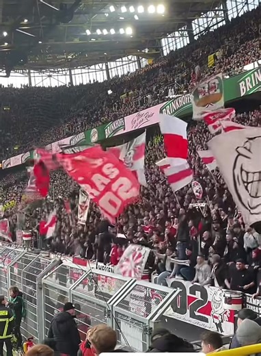 Stuttgart in Dortmund komplett am eskalieren #bvb #stuttgart #commando #viral #fyp