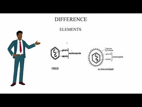 Les VIRUS sont ils des cellules? comprendre tout sur les virus