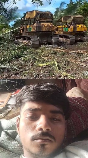 How Bulldozers Use Giant Steel Chains to Clear Entire Forest in Minutes?#facts #viral #shorts