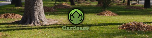 Best Leaf Scoops: Best Leaf Scoops