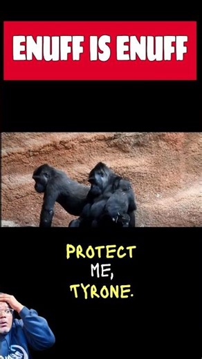 He Thought He Had a Shot, WRONG #funny #animals