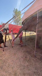 A Kecskeméti Televízió stábja forgatott 🎥 ma nálunk; az anyagot a ma esti híradóban és az utána következő Kiemelő című műsorban lehet megtekinteni. 📺Amíg Richter Flórián igazgató 🎤nyilatkozott, addig Szandra 🐘 ismerkedett a kamerával, ami nagyon lenyűgözte! 😮 Reméljük nem szeretne szakmát váltani! 😂🐘🥰🎪 | Richter Florian Cirkusz