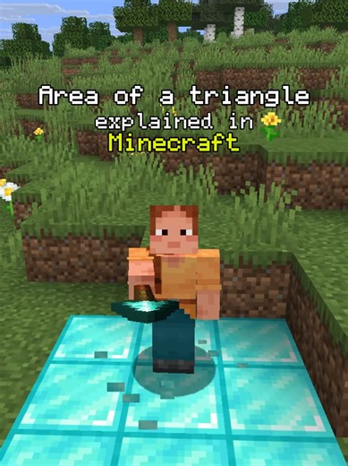 Minecraft: Area of a Triangle Explained