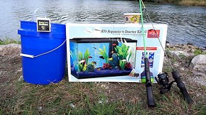 Tiny Rod, Big Rewards: Discover the Micro Fishing Craze