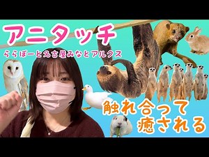 癒されたい人必見！屋内型ふれあい動物園【アニタッチららぽーと名古屋みなとアクルス①】