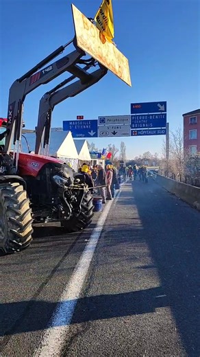 Nicolas Farkas on Reels