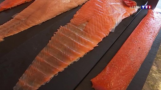 Fumer le saumon, une tradition qui se transmet en famille dans les Landes