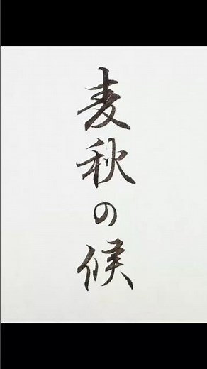 麦秋の候（ばくしゅうのこう）を筆ペンで書きました。「秋」という字が入っていますが、麦の収穫期である初夏を表す季語です。手紙の時候のあいさつとしても使われます。#書道 #筆ペン #時候の挨拶