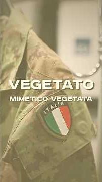 Will Italy Switch to MultiCam? | Italian Vegetato Explained 🇮🇹