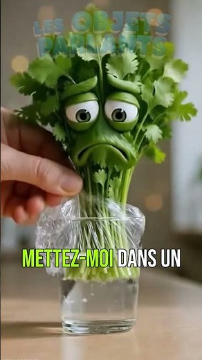 Astuces de Conservation pour Économiser 500€ sur vos Courses ! 🥦💰
