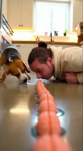 “This Puppy Just Beat a Human Eating a BRAIN Jelly 🧠😂 Too Fast!”