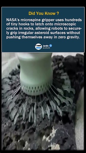 NASA’s Microspine Gripper Can Grab Asteroids in Space