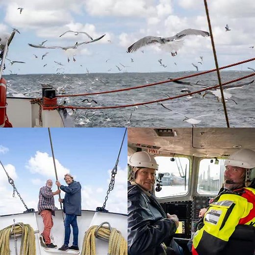 🌊⚓️ „Lecker an Bord“ – das große Finale! Heute um 20:15 Uhr im WDR 🍽️ Zum Abschluss der kulinarischen Sommerreise 2025 geht’s für mich auf Krabbenfang mit Captain Jack 🦐 – echtes Nordseeabenteuer inklusive! 🌬️🚤 Frank entdeckt währenddessen duftende Blüten und typisch friesische Backkunst. 🌸🥖 An Bord wird am Abend noch einmal groß aufgekocht: Nordseekrabbenlasagne, Seezungenrolle & Safransauce – ein perfekter Abschied aus dem hohen Norden 💙 #leckeranbord #björnfreitag #wdr #friesland #nor