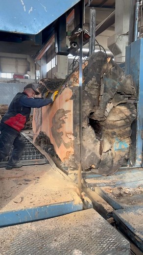 By Meksa Wood | Ash tree colour 📌 Dry custom size slabs available for the tables 🪵 #wood #woodwork #timber #woodcrafts #forest #lumberjack #naturelovers... | Instagram