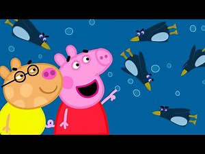 The Amazing Penguins 😮 Best of Peppa Pig 🐷 Cartoons for Children |