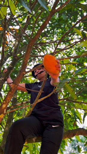 Mango Recipe / The Nature Cook #cooking #Shorts