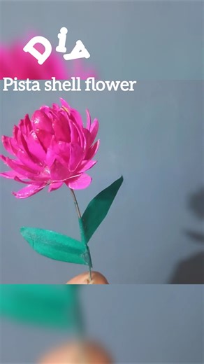 pista shell flower #flowers