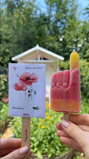 Kennst du schon Blume am Stiel? 🌸 Mohnblumen pflanzen statt Eis schlecken! 🌱