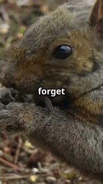 How One Acorn Can Change a Whole Forest