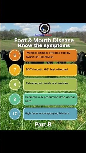 Foot and Mouth Disease is destroying cattle. Know the symptoms.
