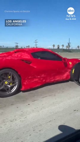 Driver spots furry Ferrari zooming down Los Angeles freeway
