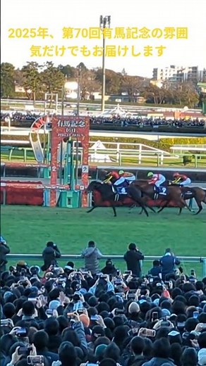 【現地映像】2025年、第70回有馬記念直線の雰囲気と歓声 #horse #競馬 #有馬記念