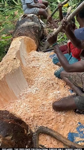 MH MOSTAFA (@mh_mostafa_118)’s videos with original sound - MH MOSTAFA