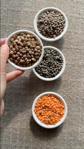 Different Types of Lentils