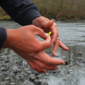 That’s ready to trick one… are you? | Trout Magnet