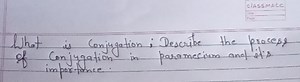 What is Conjugation: Describe the process of conjugation in par... | Filo