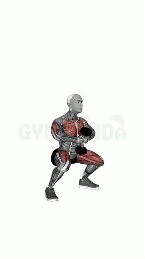 Dumbbell front squat - Perfect Form Guide #shorts