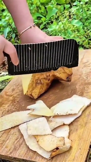 peeling taro root on wooden board by using large serrated metal blade to remove thick outer skin