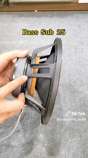 Powerful Bass Subwoofer 25 - 250W for Deep Sound Experience