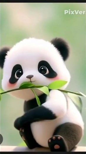 “Cute Panda Dancing 🐼💃 | Funny Animal Dance