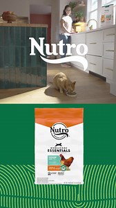 NUTRO™ helps nurture your best friend’s health from nose to tail with trusted sourcing from field to bowl. | PetSmart