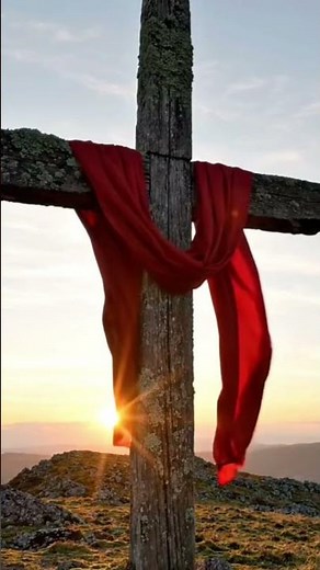 Morning Hymns to Renew Your Soul 🌅🎵 | Worship & Comfort #hymns #catholic #worshipsong