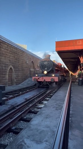 6.1K views · 73 reactions | Take a ride on the Hogwarts Express! | Chip and Company | Facebook