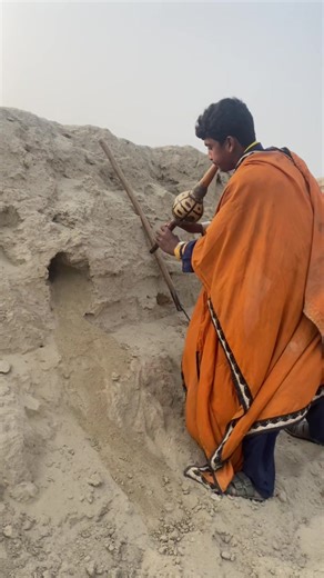 Snake Video Highlights