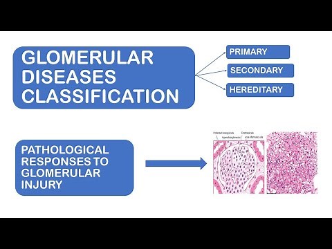 Glomerular Diseases Classification | Pathological Response to Glomerulus Injury | Made Easy