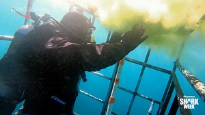 Well... 💩 happens! Don't miss 6000 Lb Shark tonight at 9p during #SharkWeek on Discovery! | Shark Week