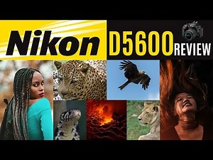 NIKON D5600 REVIEW - WILDLIFE & PORTRAIT PHOTOGRAPHY WITH SAMPLE IMAGES.