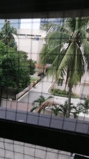 Exploring the Universal Logo in Real Life