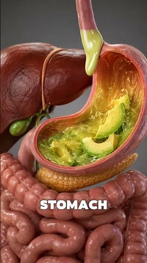 This Is What Avocado Does Inside Your Body